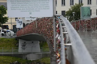 DSC_6158 (Large).JPG